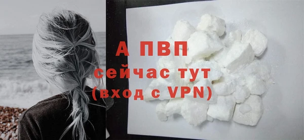 СК Зеленокумск