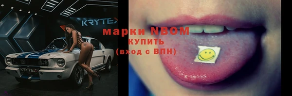 СК Зеленокумск