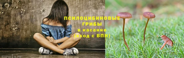 СК Зеленокумск