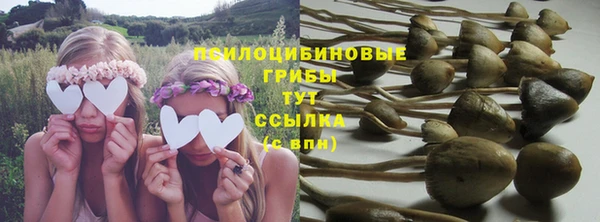 СК Зеленокумск