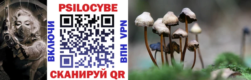 Галлюциногенные грибы Psilocybe  Реутов 