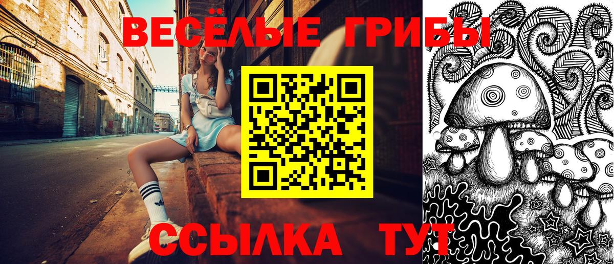 где продают   Псилоцибиновые грибы MAGIC MUSHROOMS  Вход с VPN  Реутов 